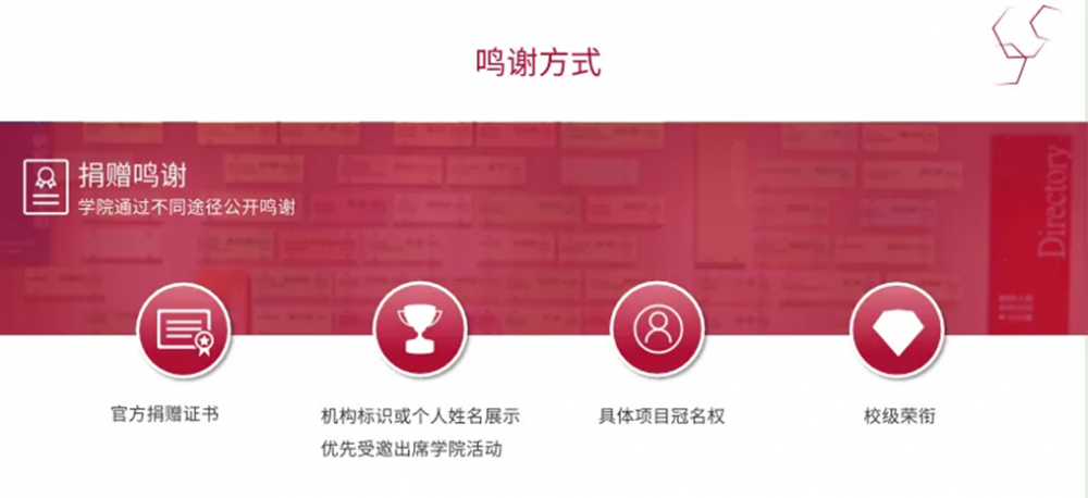 image-20240531094824-10